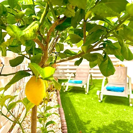 Nissi Escape - 5 Min Walk To Paradise * Ayia Napa